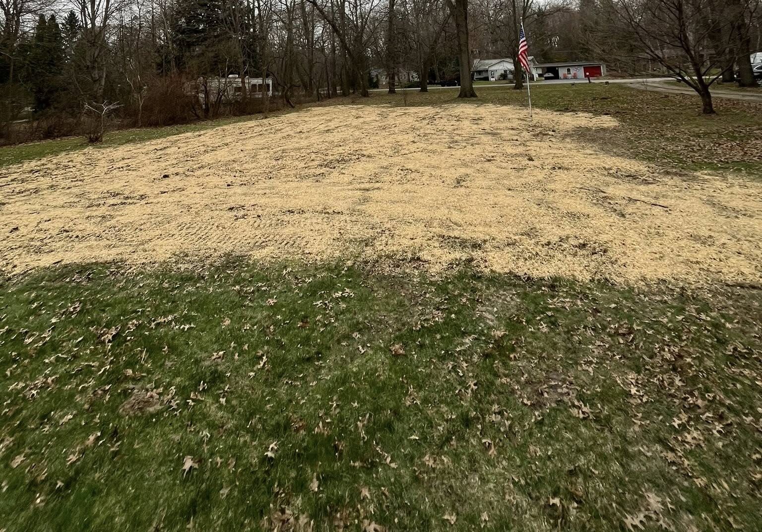 Seeding & SOd